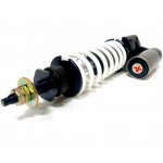 Revisione RS24/10R